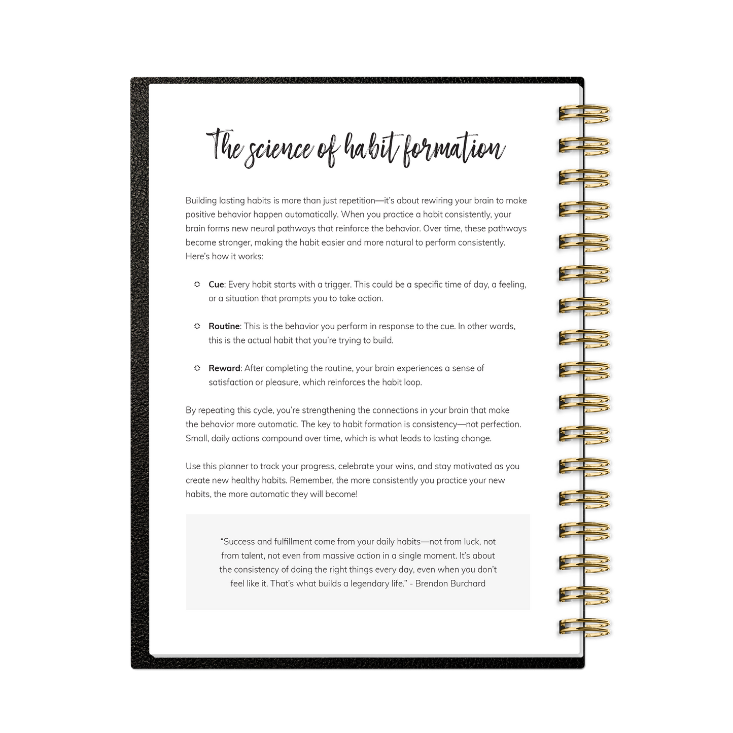 2026 Habit Planner (Black)