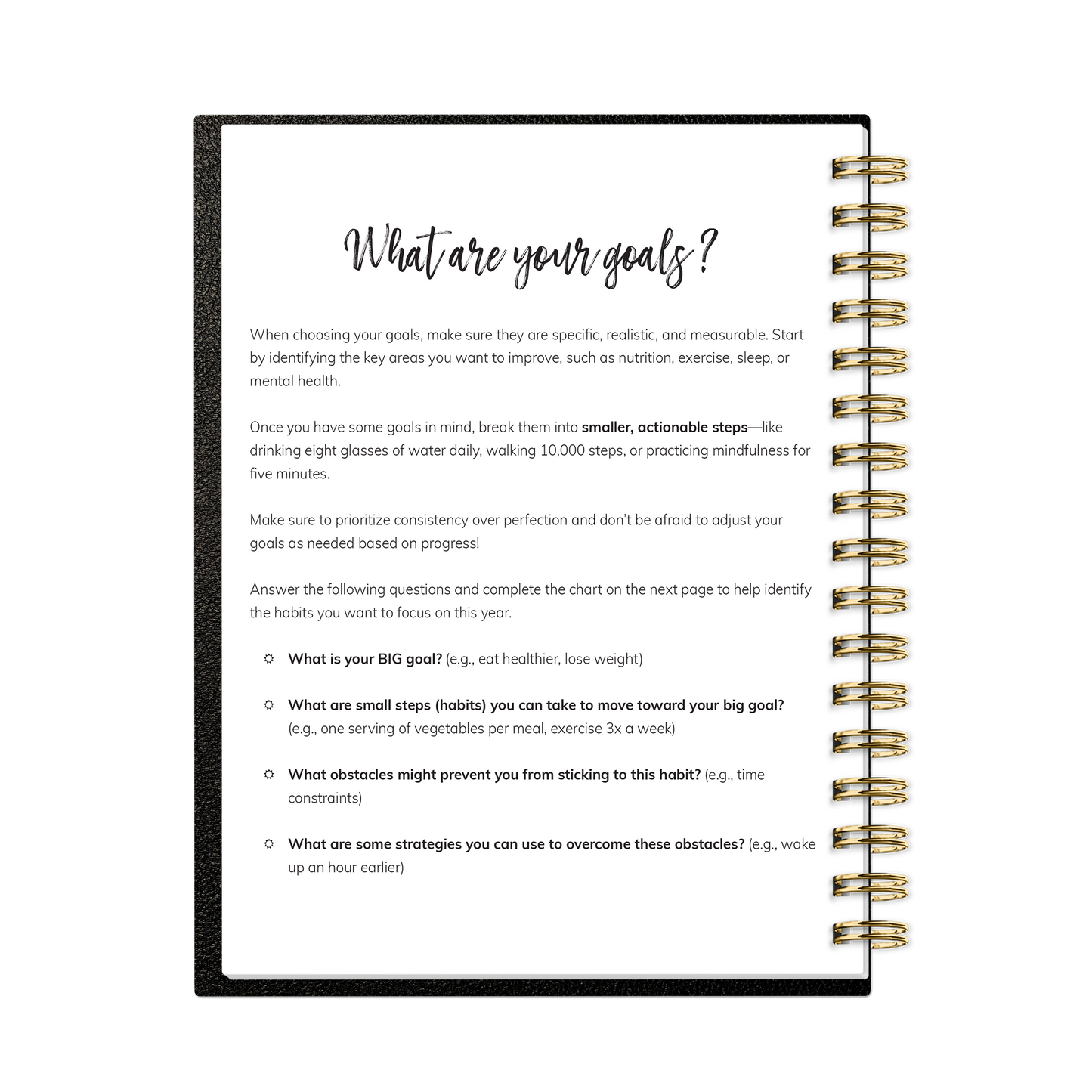 2026 Habit Planner (Black)